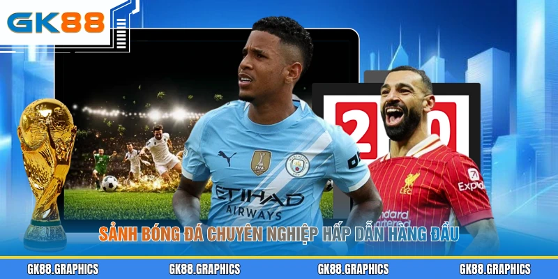 Sảnh bóng đá chuyên nghiệp hấp dẫn hàng đầu